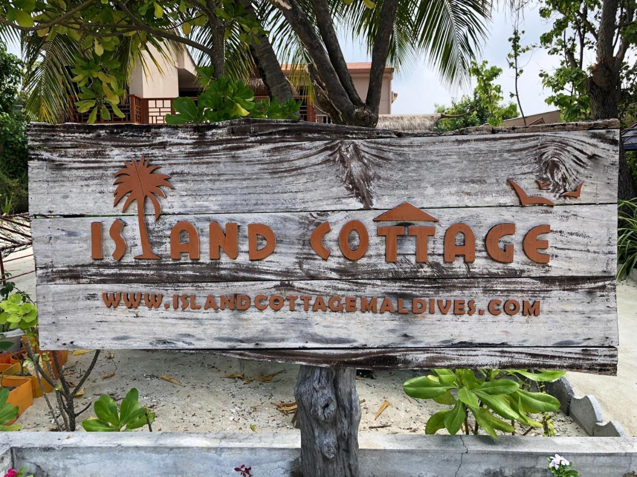 Island Cottage Maafushi Bagian luar foto